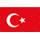 lang_icon